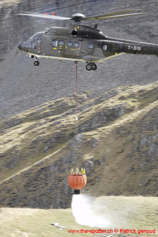axalp 11-10-06183