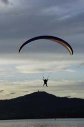 Red Bull Vertigo 190