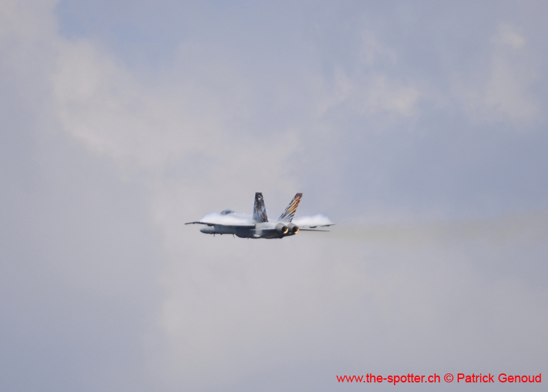 bex-31-08169