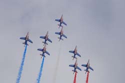 bex-31-08237