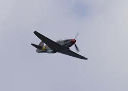 bex-31-08255