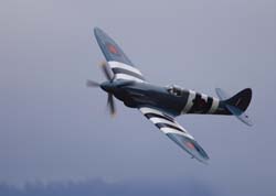 bex-31-08263