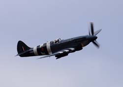 bex-31-08274