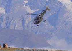 axalp366
