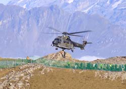 axalp369