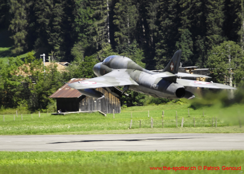 hunterfest-25-08160