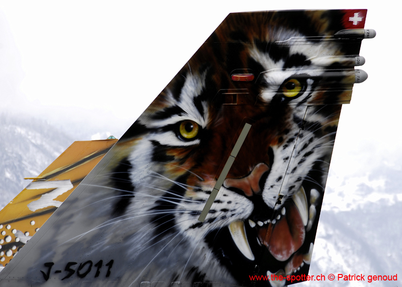 jpo meiringen 23-03-07143