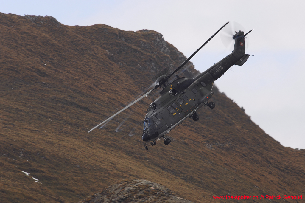 axalp-09-10-315
