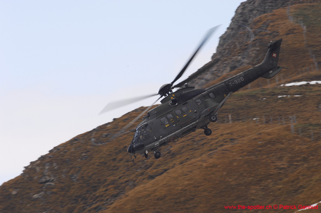 axalp-09-10-316