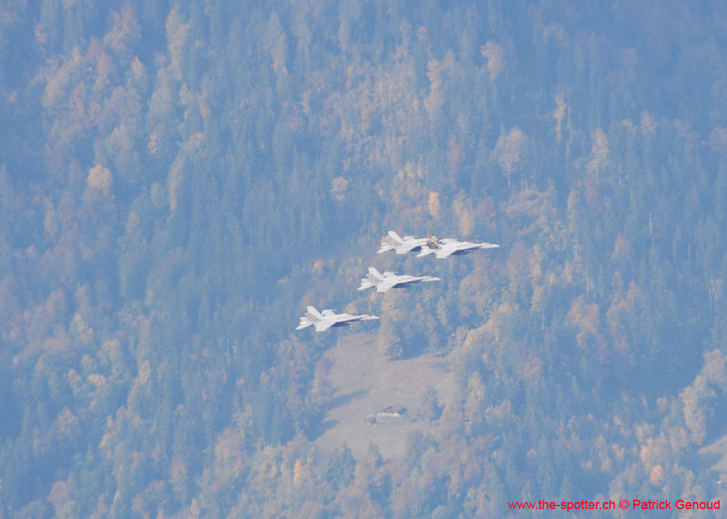 axalp-09-10-319