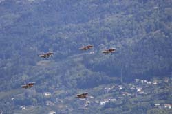 jpo-sion-26-09247