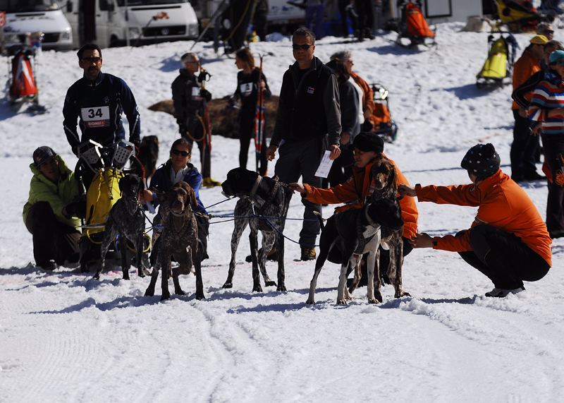 musher121031508