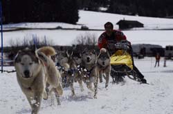 musher191031508