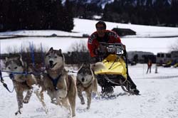 musher192031508