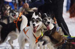 musher200031508