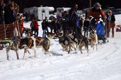 musher203031508